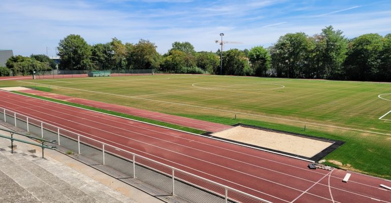 Marly : le règne du liège